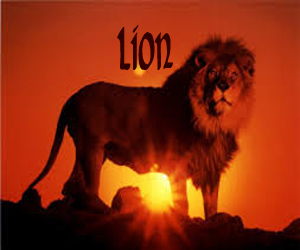 1-lion